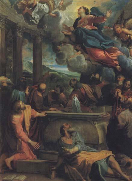 Annibale Carracci The Assumption of the Virgin oil painting image